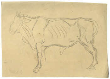 Visualizza l'immagine "FD D 202"